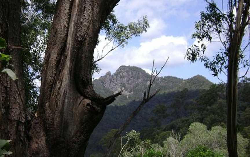 Flinders-Goolman Conservation Estate, Purga, QLD