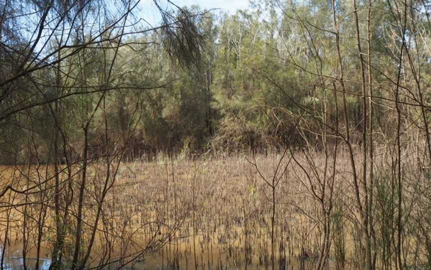 Longneck Lagoon Walking Track, Pitt Town, NSW