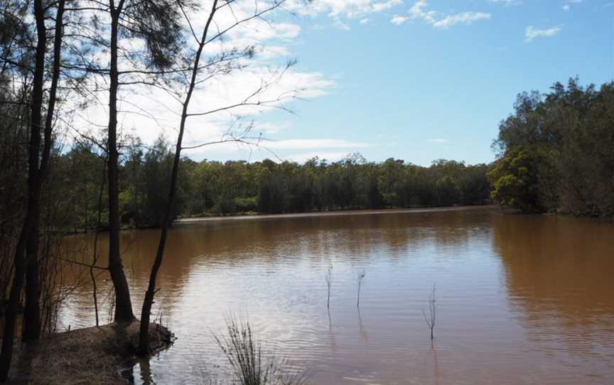 Longneck Lagoon Walking Track, Pitt Town, NSW