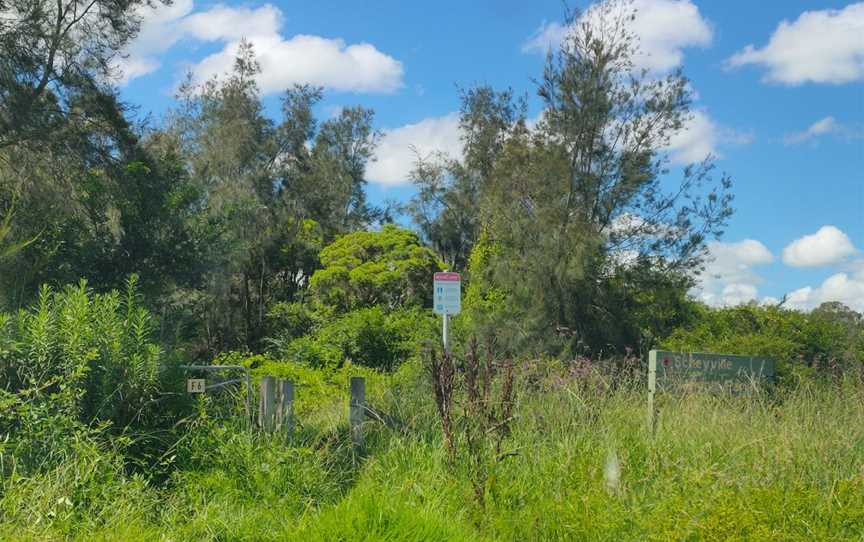 Longneck Lagoon Walking Track, Pitt Town, NSW