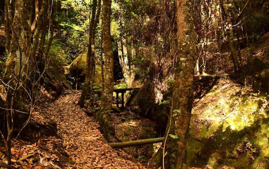 Cave Creek Walking Track - CURRENTLY CLOSED, Hill Top, NSW