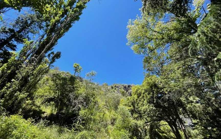 Victoria Arch walking track, Wombeyan Caves, NSW