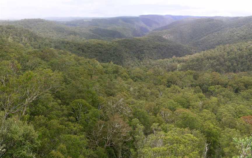 Guy Fawkes River National Park, Chaelundi, NSW