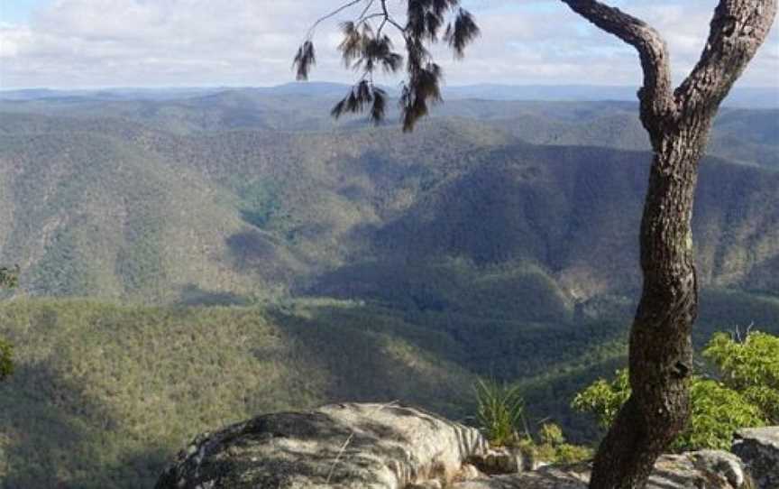 Guy Fawkes River National Park, Chaelundi, NSW