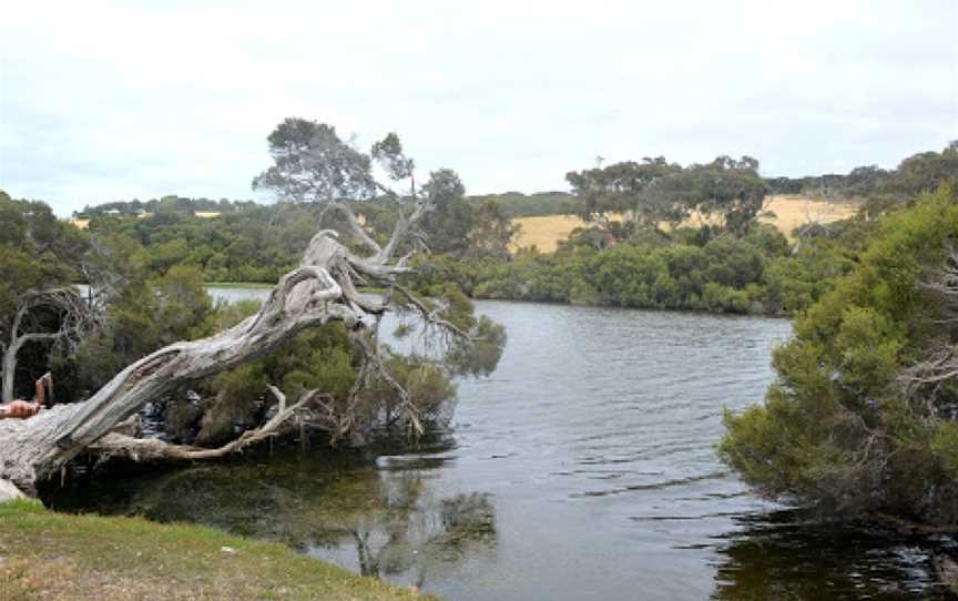 Chapman River, Antechamber Bay, SA