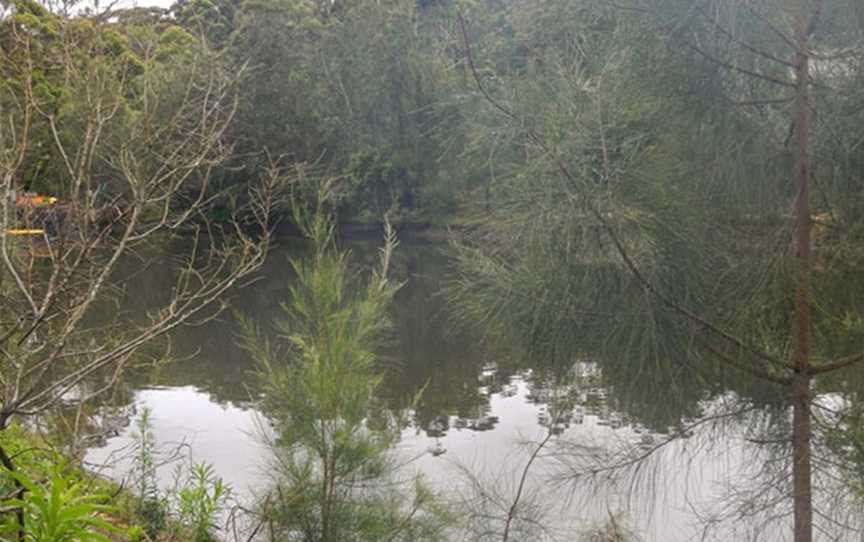 Koonjeree picnic area, Chatswood West, NSW