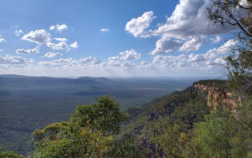 Blackdown Tableland National Park, Dingo, QLD