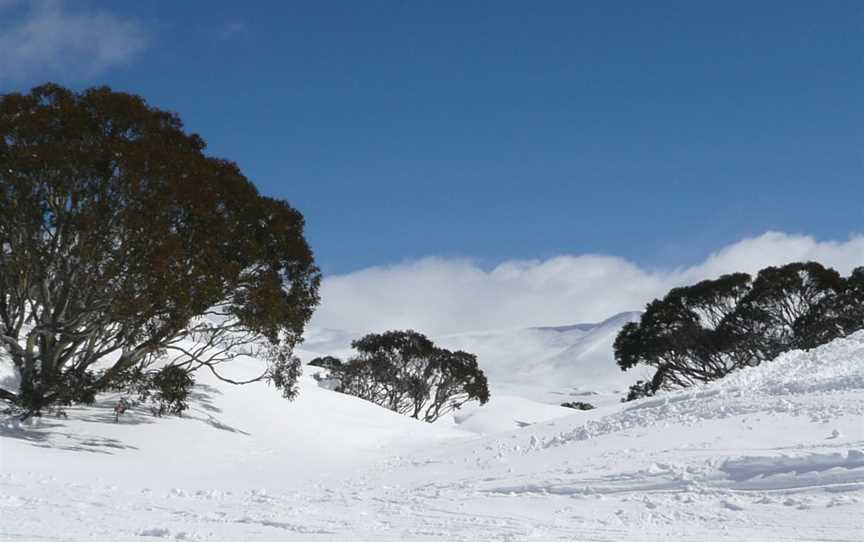 Charlotte Pass Snow Resort, Charlotte Pass, NSW