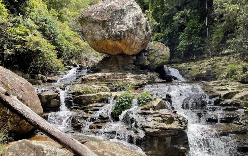 Clover Hill Trail, Macquarie Pass, NSW