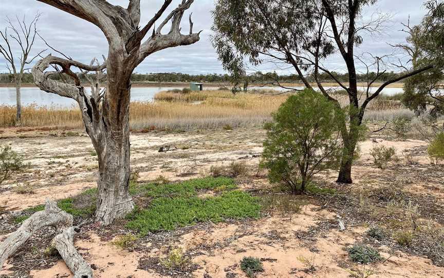 Hart Lagoon Walking Trail, Waikerie, SA