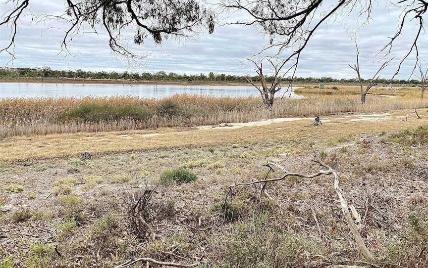 Hart Lagoon Walking Trail, Waikerie, SA