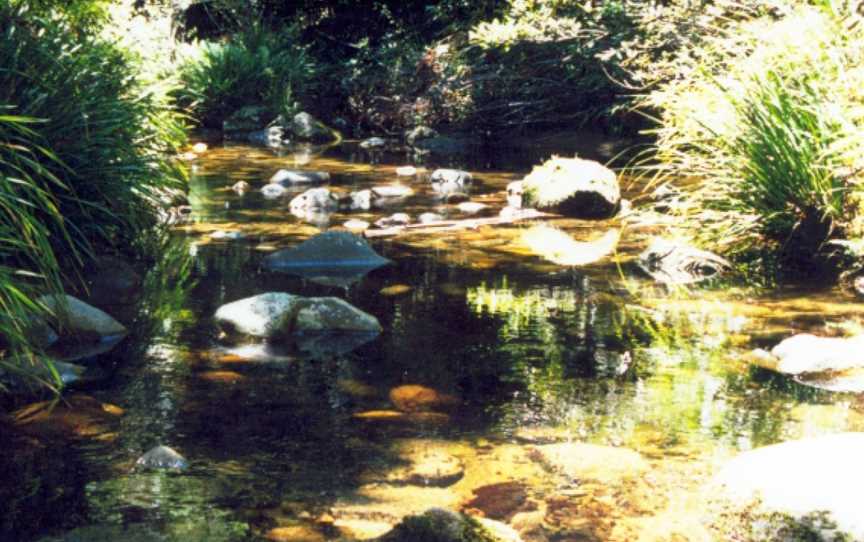 Washpool National Park, Gibraltar Range, NSW