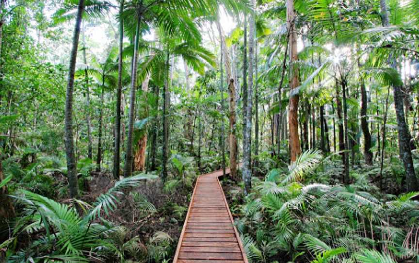 Cairns Botanic Gardens, Edge Hill, QLD