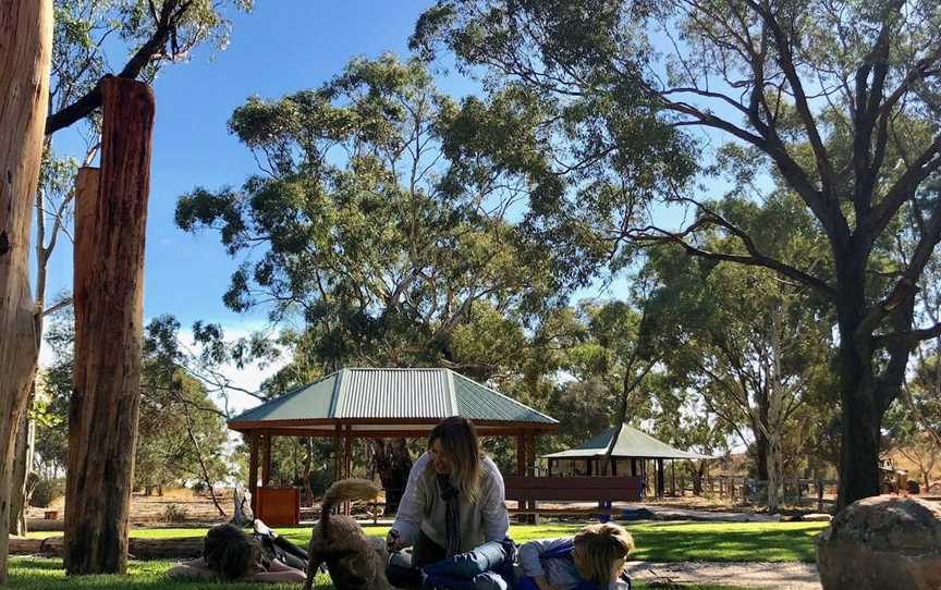 Kaniva Wetlands & Fauna Park, Kaniva, VIC