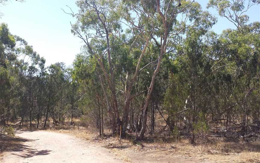 Sandy Creek Conservation Park, Sandy Creek, SA