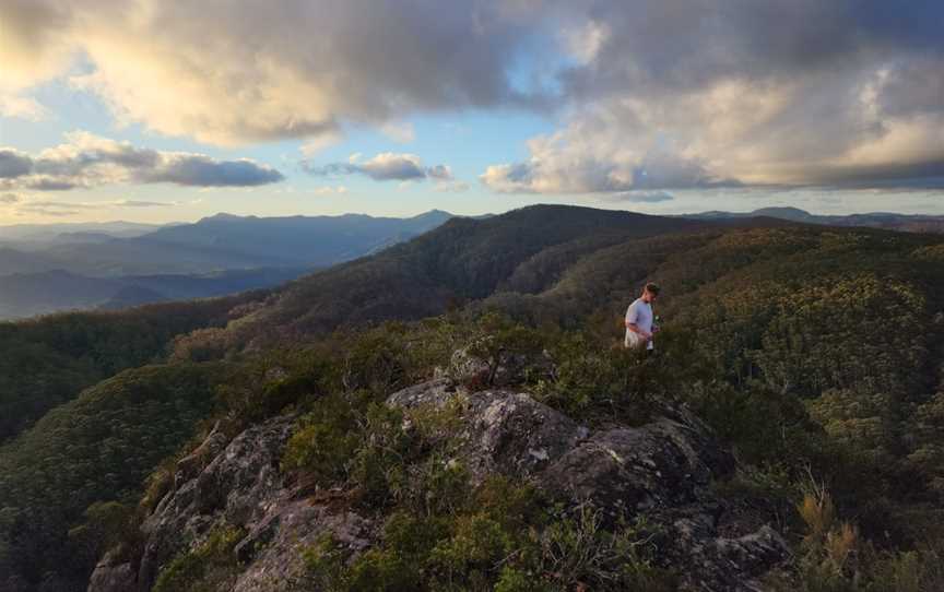 Coorabakh National Park, Lansdowne Forest, NSW