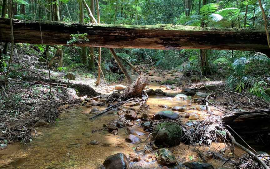 Coorabakh National Park, Lansdowne Forest, NSW