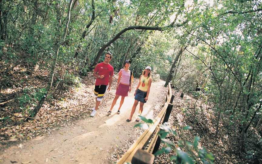 Iluka Rainforest Walking Track, Iluka, NSW