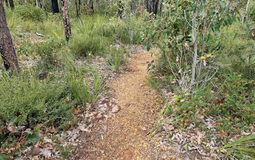 Forest Path, Crooked Brook, Dardanup, WA