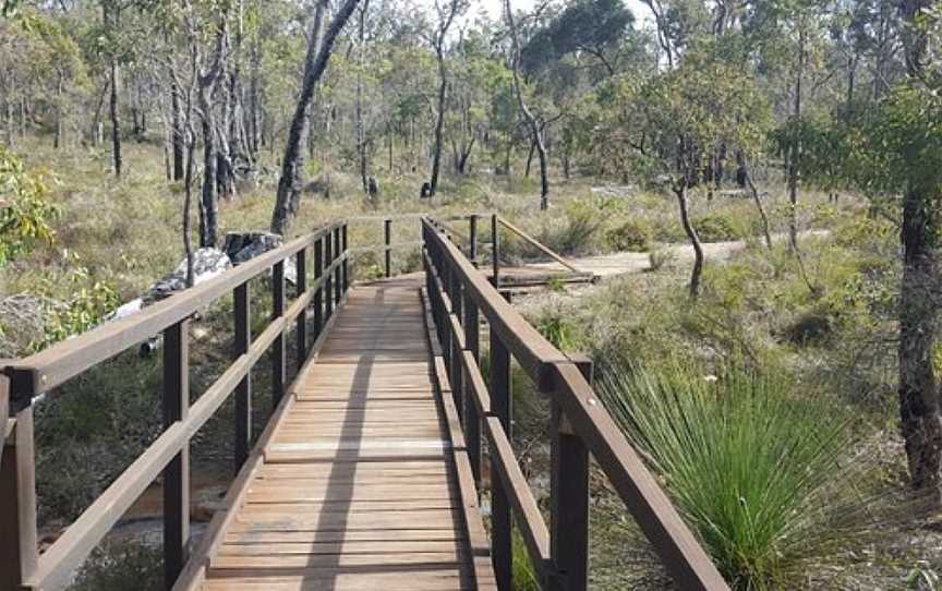 Crooked Brook Forest, Dardanup, WA