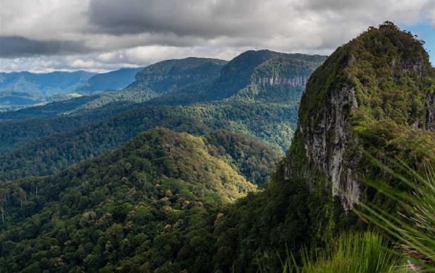 Mount Cougal, Springbrook National Park, Currumbin Valley, QLD