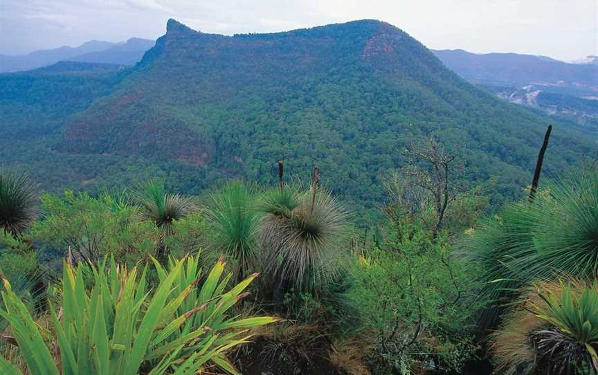 Cunninghams Gap and Spicers Gap, Main Range National Park, Warwick, QLD