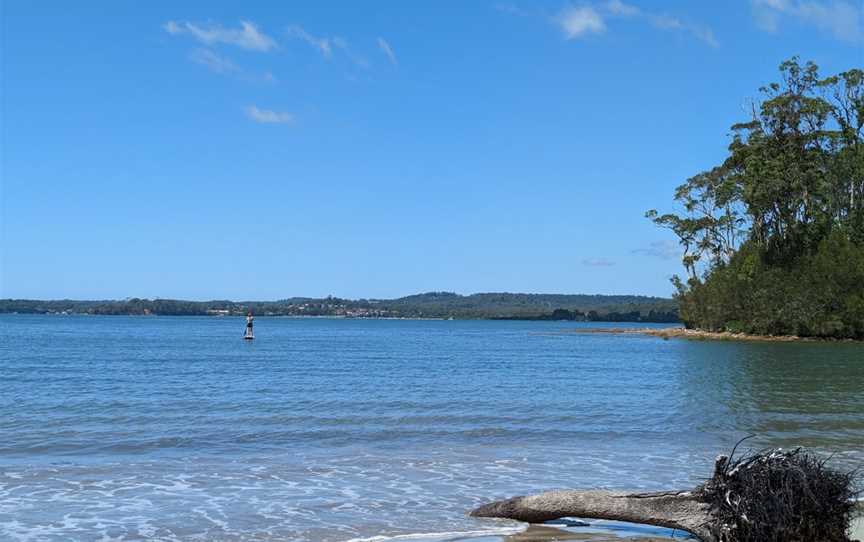 Cullendulla Creek Nature Reserve, Surfside, NSW