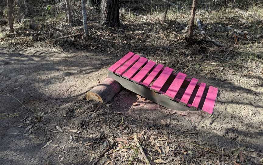 New Italy Mountain Bike Forest, Tabbimoble, NSW