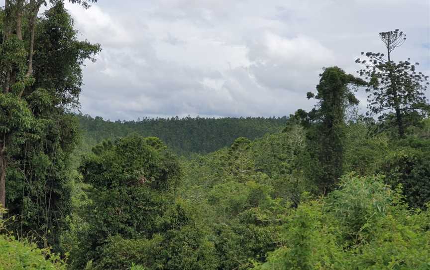 Benarkin State Forest, Benarkin, QLD