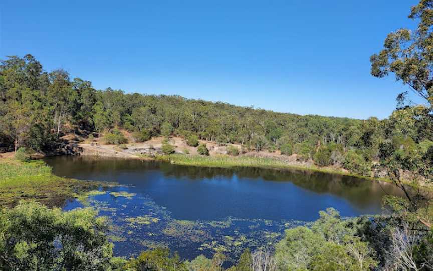 Daisy Hill Conservation Park, Daisy Hill, QLD