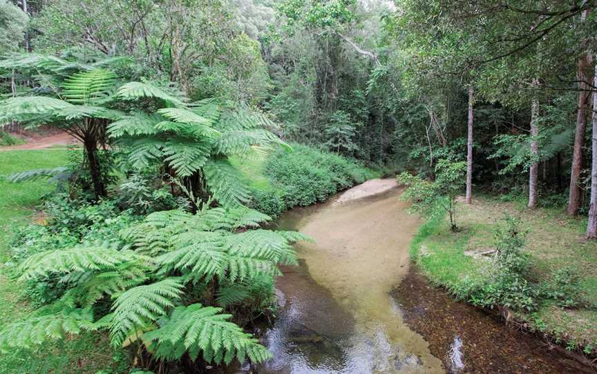 Danbulla National Park and State Forest, Lake Tinaroo, QLD