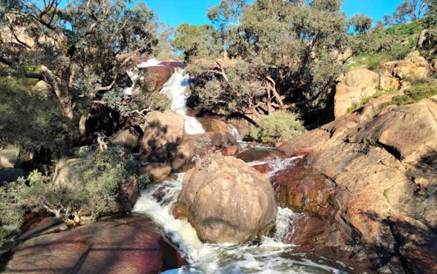 Eagle's View Walk, John Forrest National Park, Darlington, WA