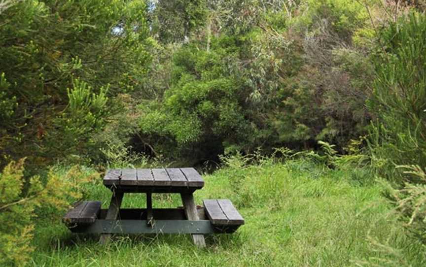 Maddens Falls, Darkes Forest, NSW