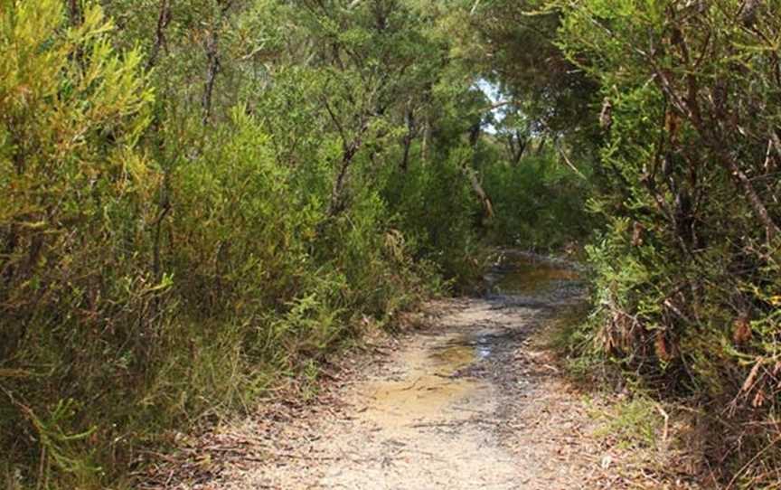 Maddens Falls, Darkes Forest, NSW