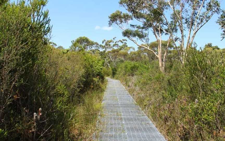 Maddens Falls, Darkes Forest, NSW