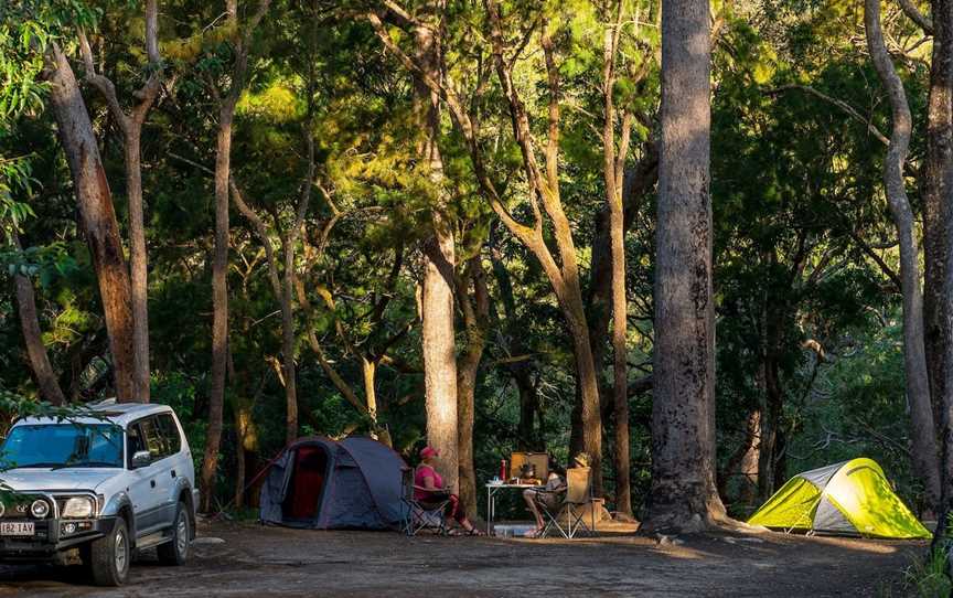 Davies Creek National Park and Dinden National Park, Mareeba, QLD