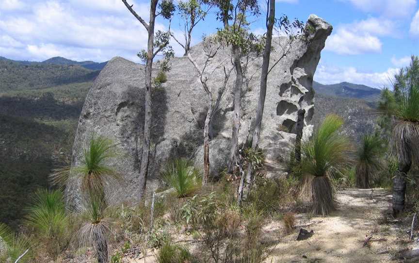 Davies Creek National Park and Dinden National Park, Mareeba, QLD