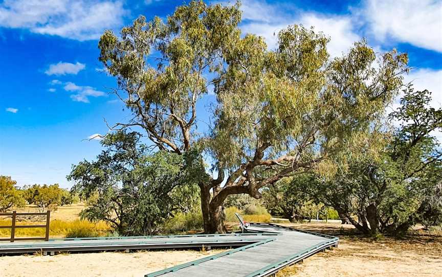 Burke and Wills Dig Tree, Durham, QLD