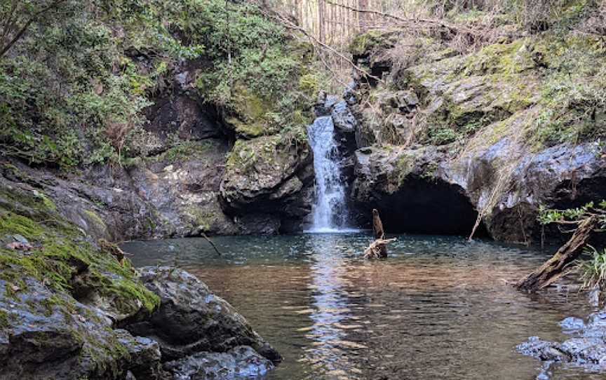 Potoroo Falls picnic area, Dingo Forest, NSW