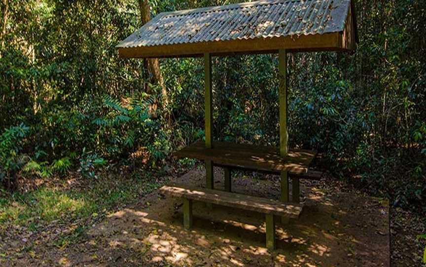 Potoroo Falls picnic area, Dingo Forest, NSW