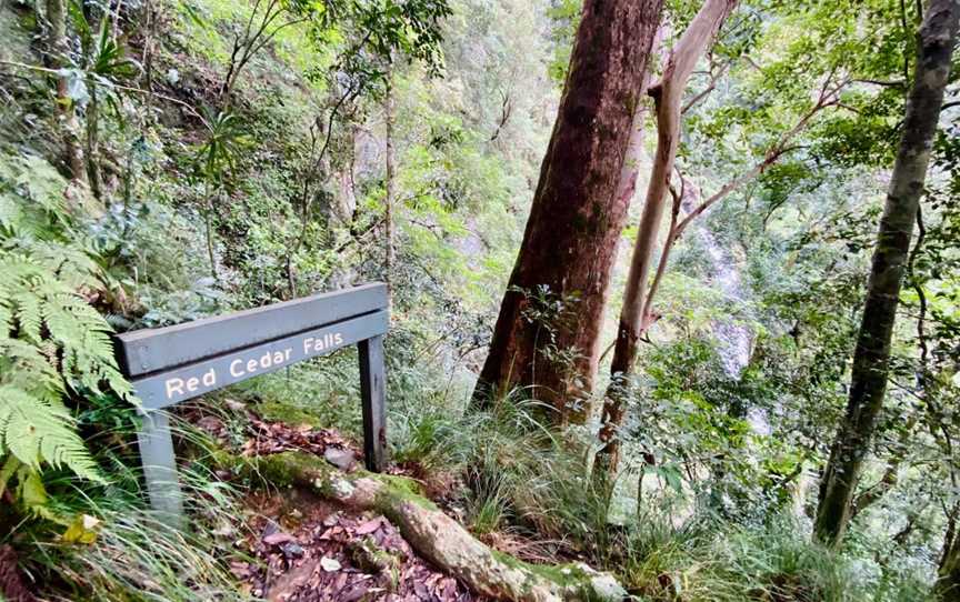 Rosewood Creek Walking Track, Never Never, NSW