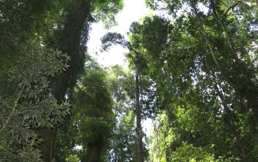 Coramba Nature Reserve, Coramba, NSW