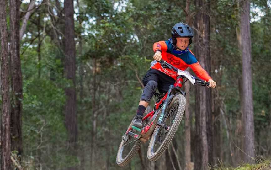 Eastern Escarpment Conservation Area Trail, Sheldon, QLD