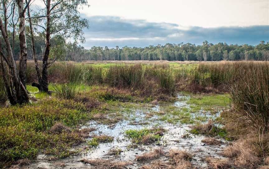 Gemmill Swamp Wildlife Reserve, Mooroopna, VIC