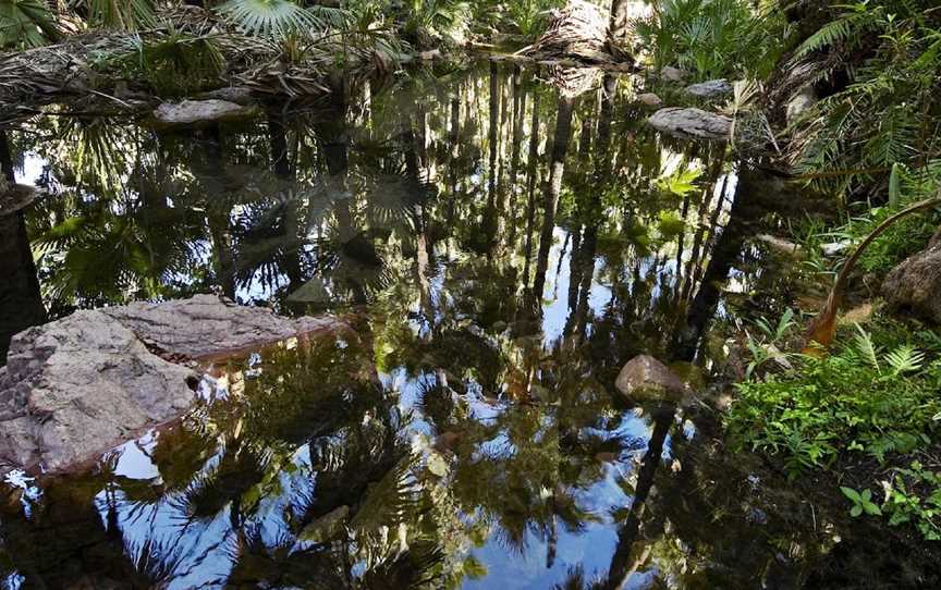 Zebedee Springs, Durack, WA