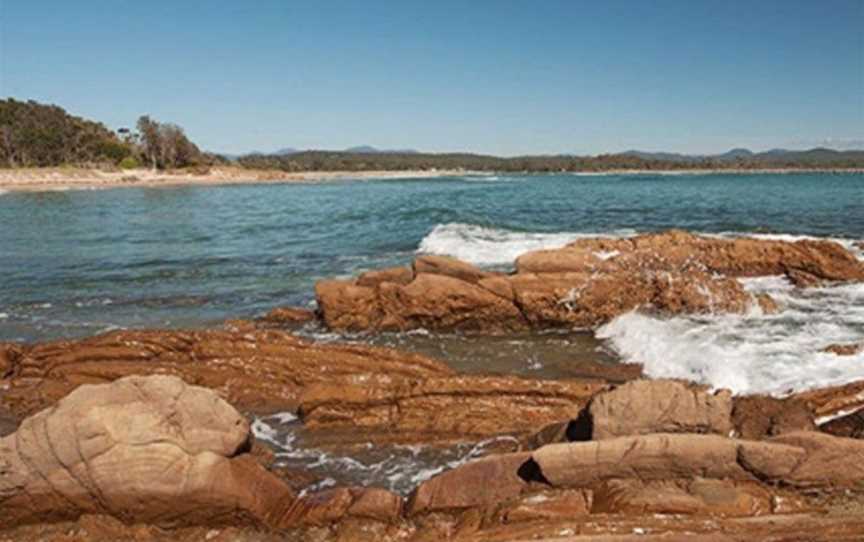 Shelly Beach Picnic Area - Moruya Heads, Moruya Heads, NSW