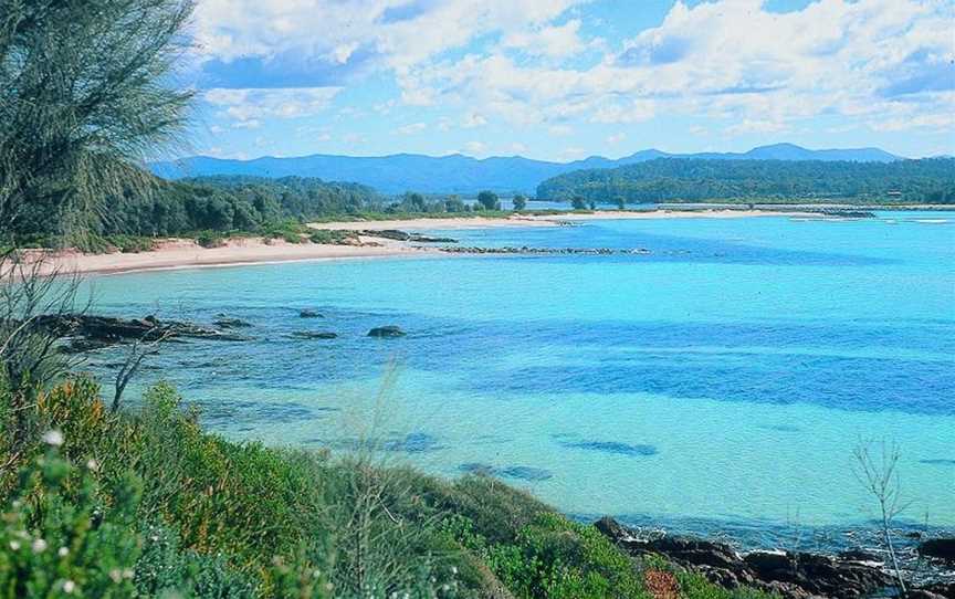 Shelly Beach Picnic Area - Moruya Heads, Moruya Heads, NSW