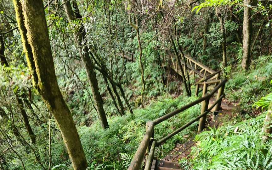 Ellenborough Falls, Elands, NSW