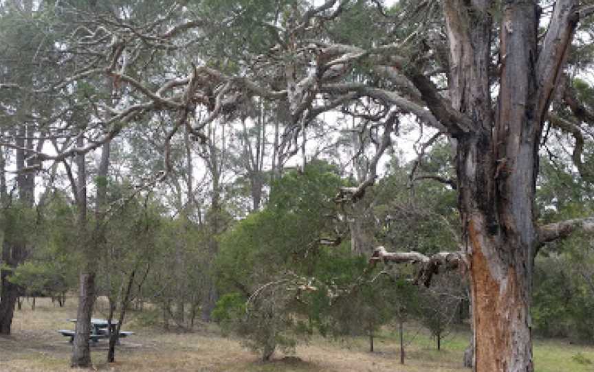 Werakata National Park, Elrington, NSW