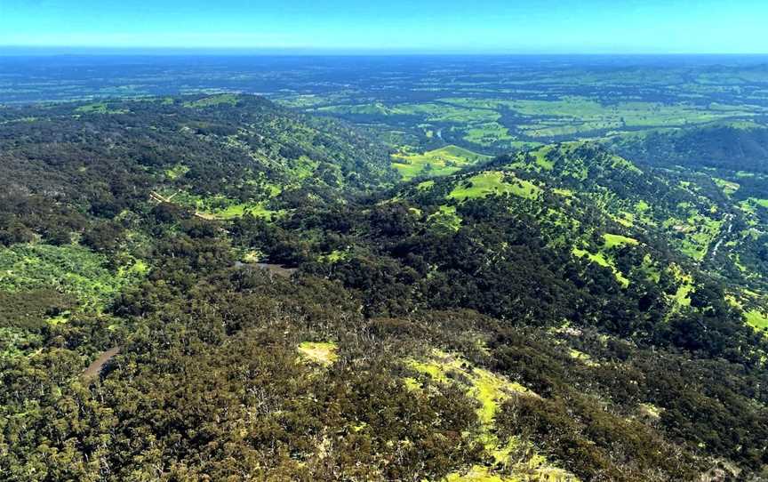 Tallarook State Forest, Tallarook, VIC